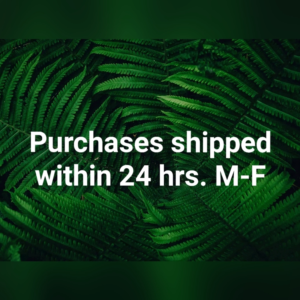 Shipping